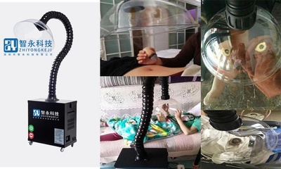 網(wǎng)絡(luò)科技領(lǐng)域內(nèi)的技術(shù)開(kāi)發(fā) 創(chuàng)新引擎與未來(lái)趨勢(shì)